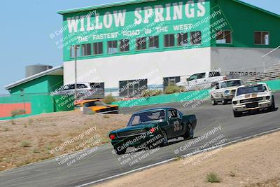 media/May-07-2022-Cobra Owners Club of America (Sat) [[e681d2ddb7]]/Blue/Session 1 (Turn 4)/